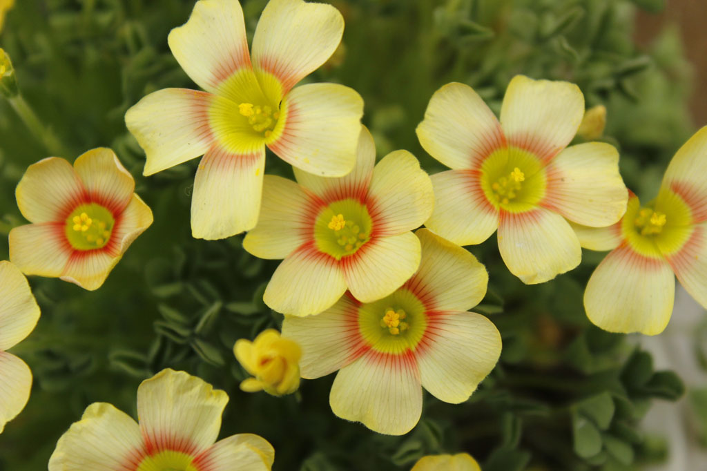 20140528214351_Hy8Zz