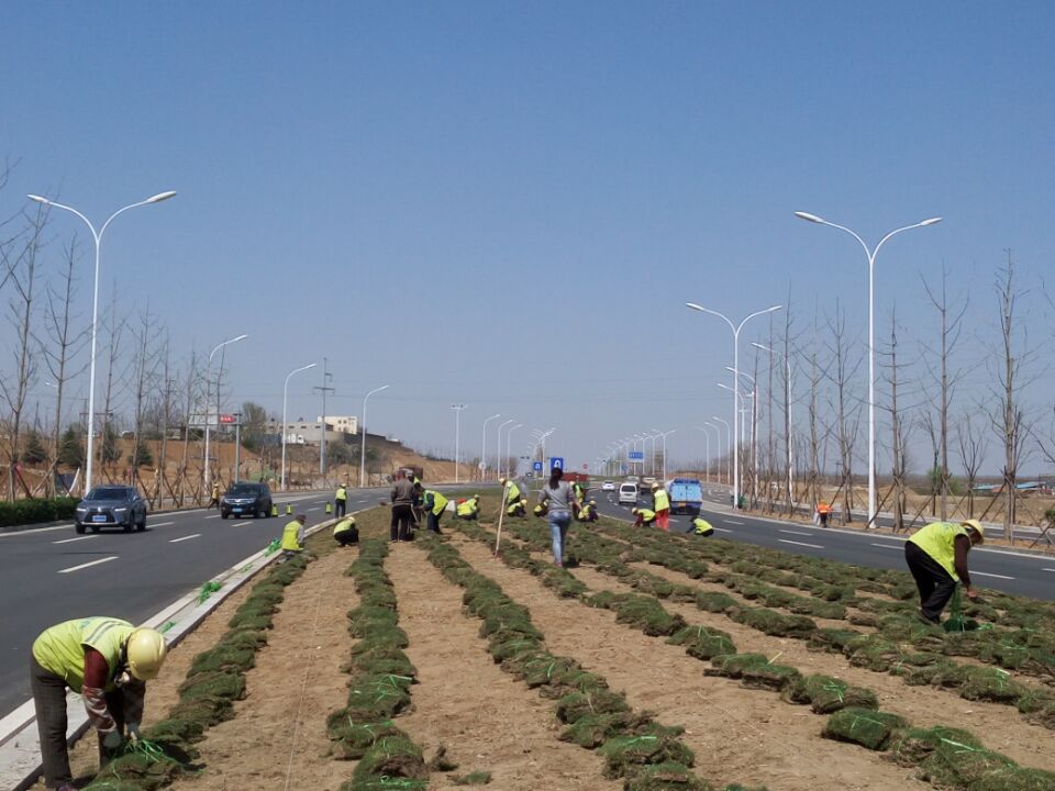 1643AD8E282D4BBD503DDDD3A25C0172