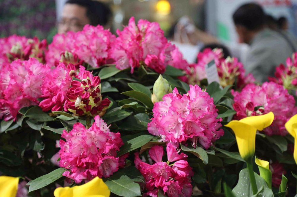 42398f7a3f47d873dc2a65a5c5f5fc43