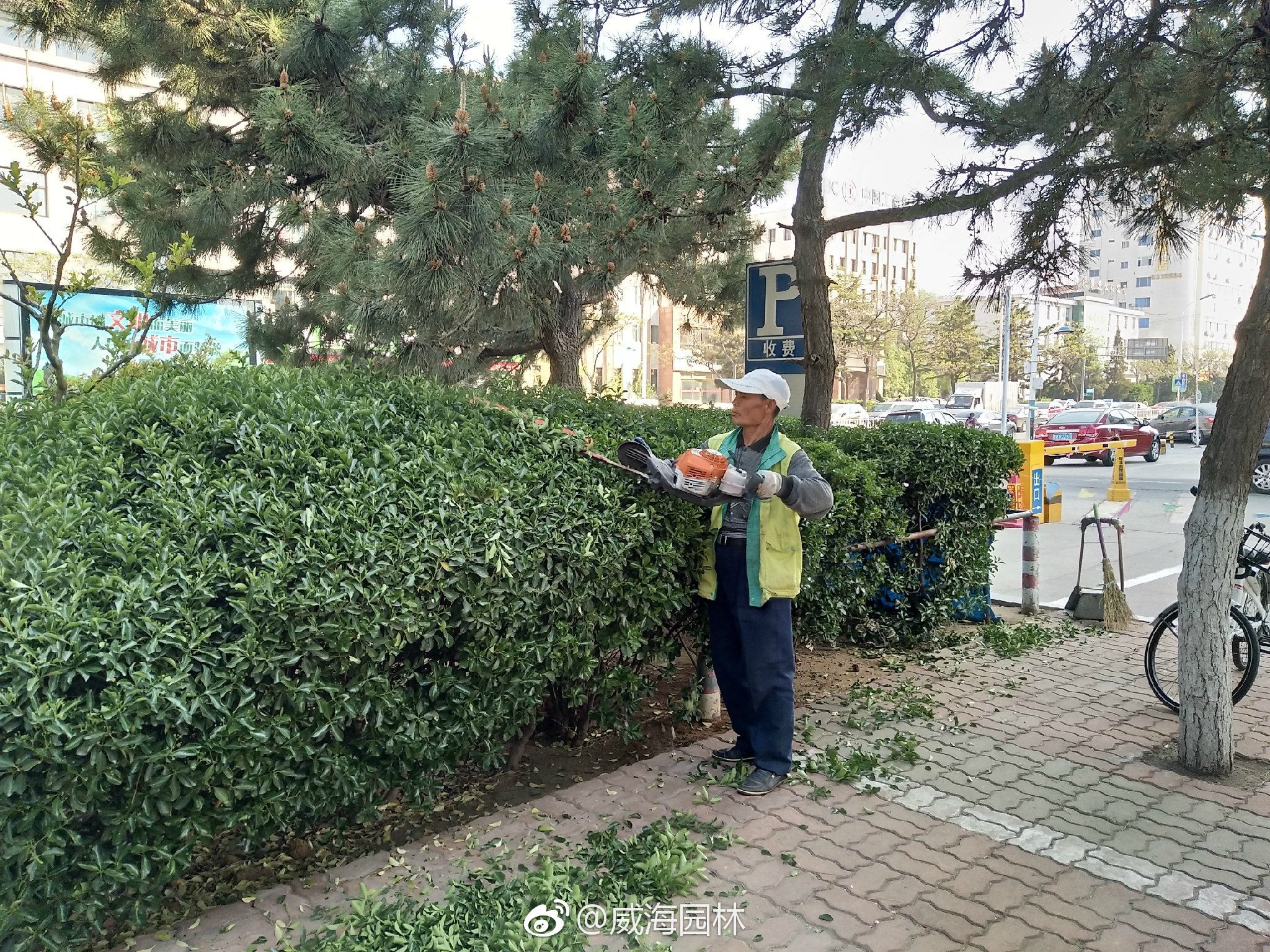 8c034171ly1ff86x7babej21kw16o7wh