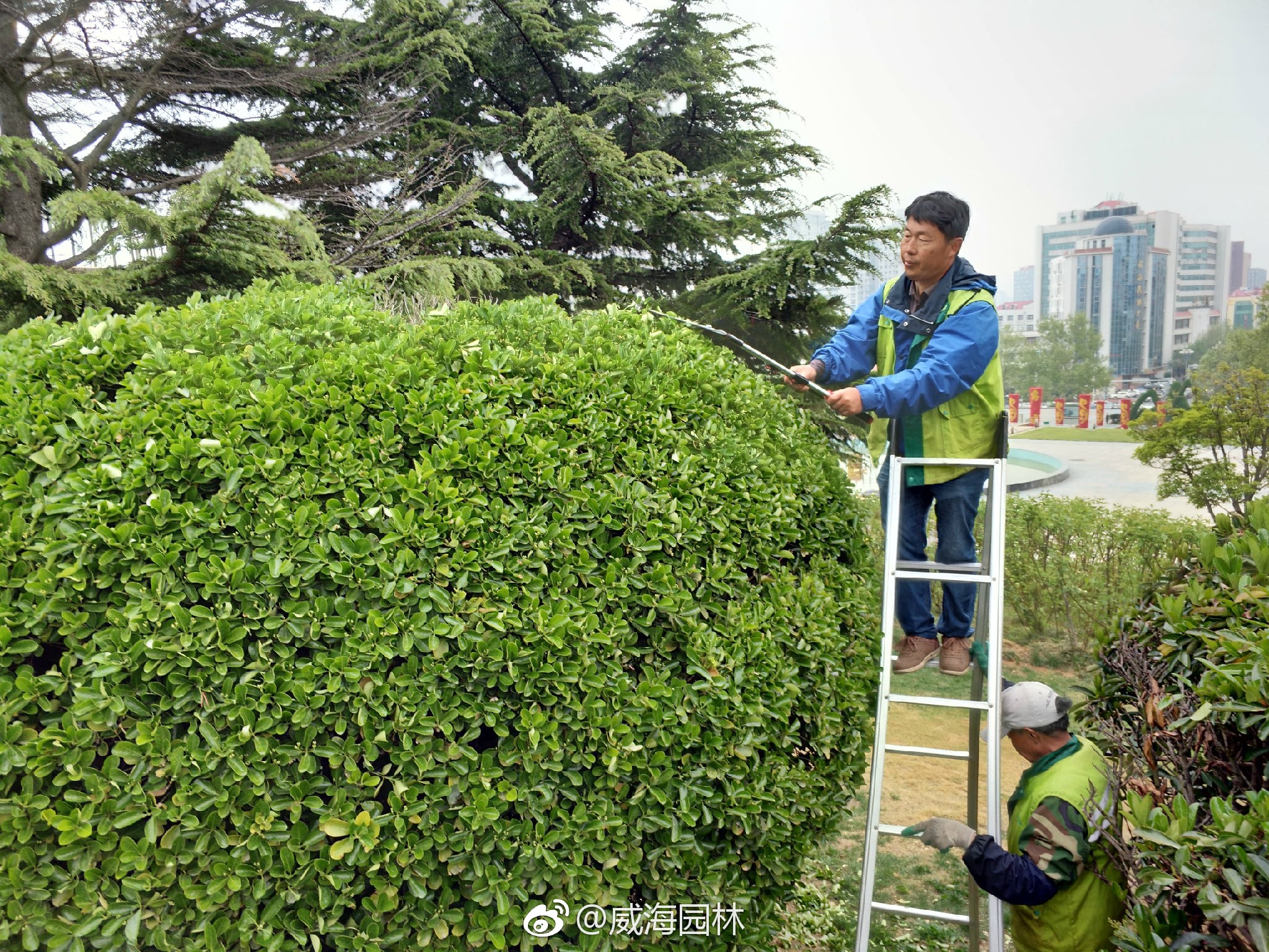 8c034171ly1ff9dwe13klj21kw16o1kx