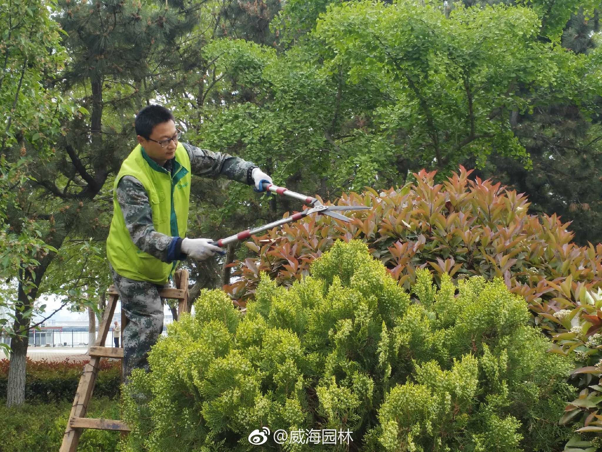 8c034171ly1ff9dwg7cv0j21kw16okjj