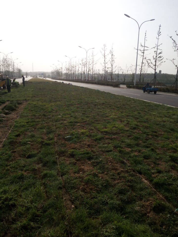 BFFDC3CACB196EE8715E214BD003B515