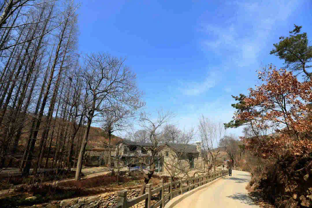 564839050c2f672e48876d3d79ea303